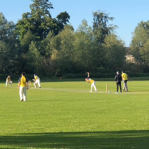 Cricket match in a park