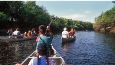 people canoeing on a river